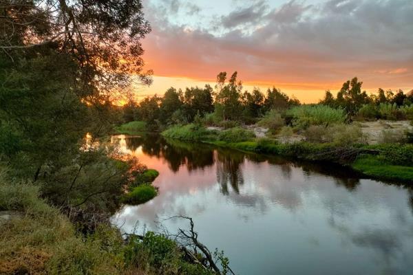 Family-Friendly Eco Farm: Your Dream Off-Grid Home Awaits

Are you dreaming of a ...