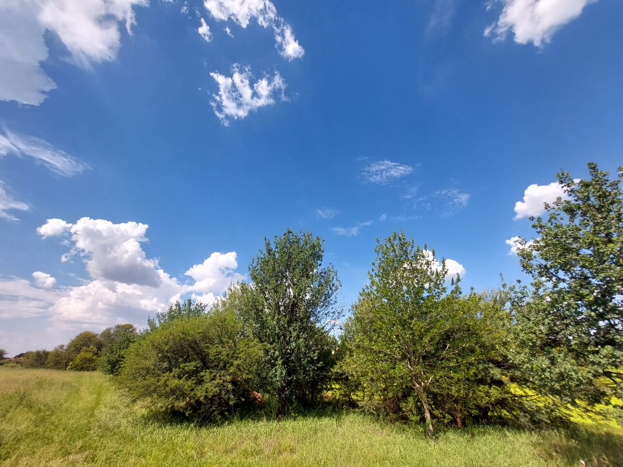 Vacant land / plot for sale in Marlbank P24113891050