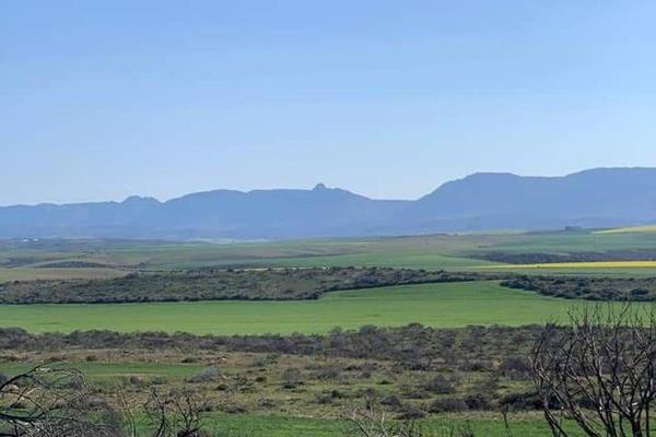 This 988,8243 Ha (2 title deeds) farm is situated 20 km from Still Bay, on the R305. The different income streams of this farm are ...