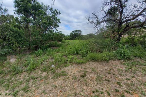 Build your dream house in this vacant stand in elawini lifestyle estate

This vacant stand in Elawini Lifestyle Estate is a great ...