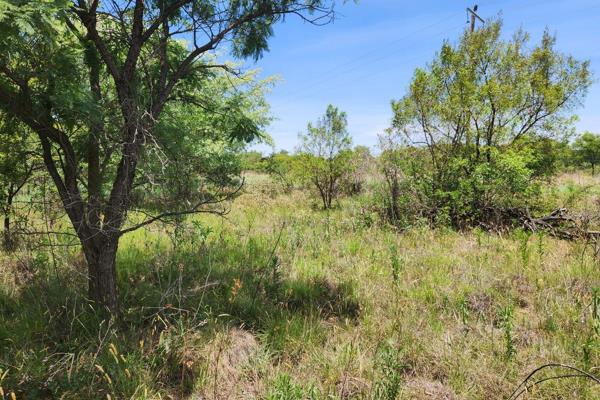 4 Hectare Vacant Land for sale in Roodeplaat

Escape to the breathtaking beauty of nature, 

This 4 Ha smallholding offers ...