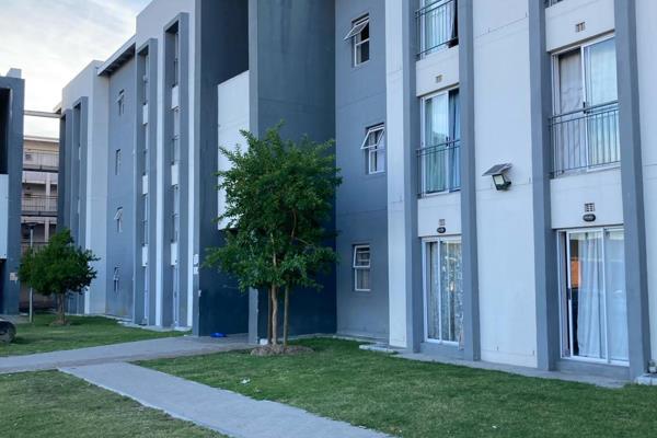 Flats to rent hot sale in bellville