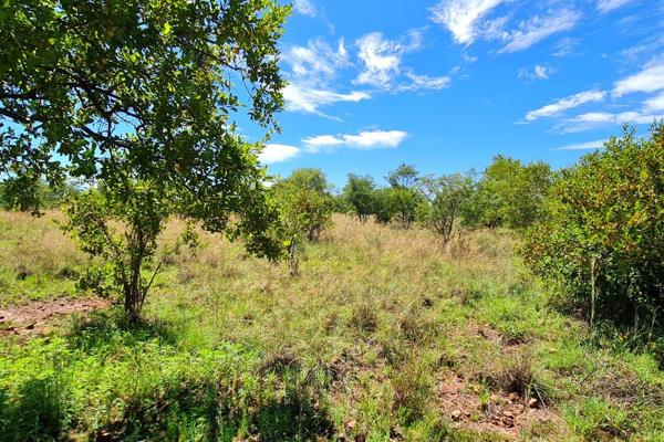 This land has a functional borehole with a 5000Lt water tank and cement dam. 
This “Island” land is in the central part of the ...