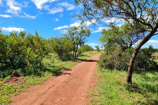 This “Island” land is in the central part of the Dinokeng Game Reserve and is partially fenced. 
Lush bushveld with a variety of ...