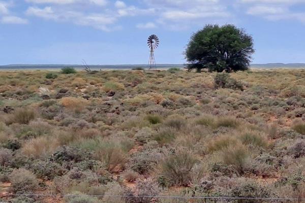 Die plaas is gele&#235; in die Prieska/Britstown/Vosburg driehoek. Die plaas beskik oor enkelfase Eskom krag en `n 4 slaapkamer ...