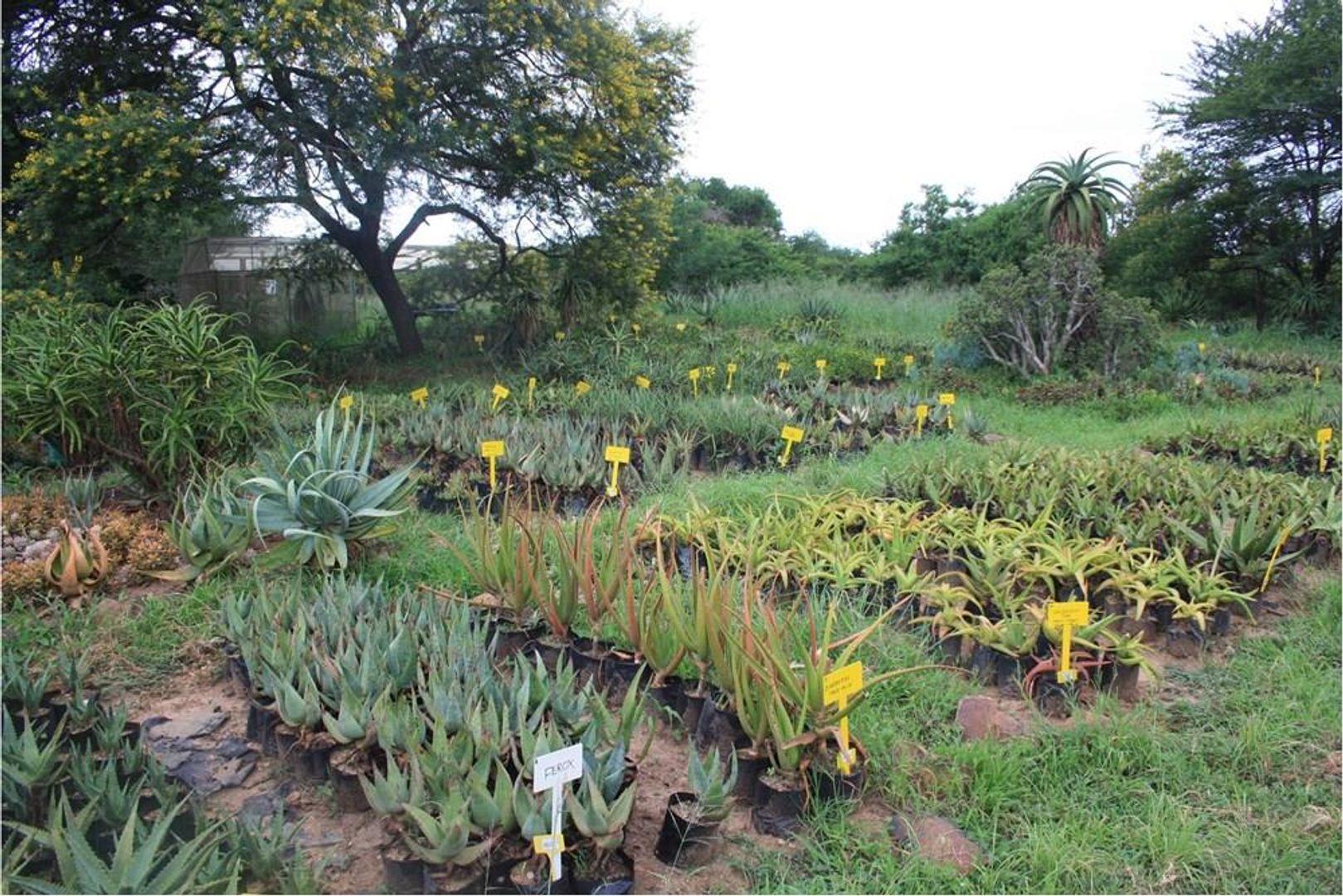 farms-for-sale-in-pietermaritzburg-pietermaritzburg-property