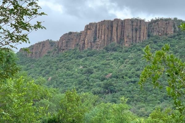 This 173-hectare farm boasts exceptional and diverse vegetation, characterized by subtropical features, and offers breathtaking views ...