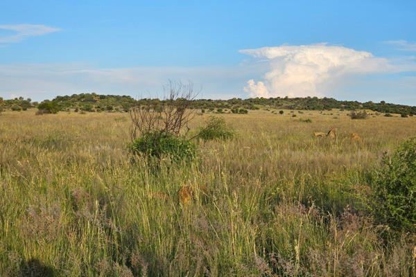 The Plot consist of:- 18 Hectares.

* This beautiful piece of Land near Klerksdorp Dam needs a new Owner.                             ...