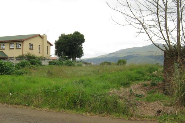 This empty stand is 1115m2 and is situated in Eeufees street , Graskop.