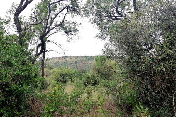 This 22,5-hectare farm is a prime location for anyone looking for a piece of paradise. 
With 2 existing boreholes, the property offers ...