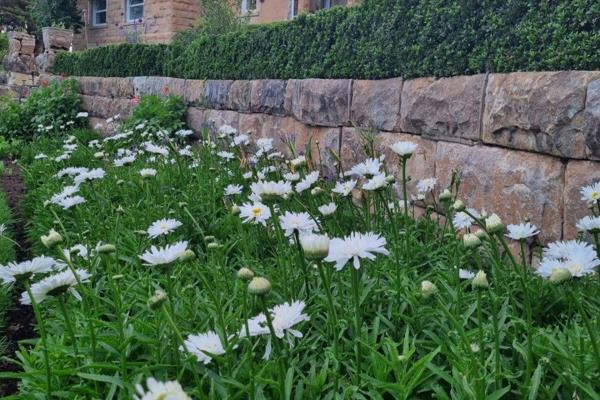 Some background on this unique property.....

Keble was founded by Anglican priest, AH ...