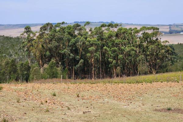 If its peace and quit you need look no further. 

This 2.1 Ha Small Holding property in Rietkuil, 22km outside Swellendam offers a rare ...