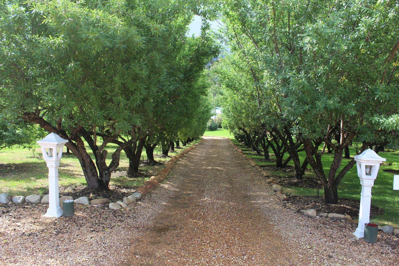 Photo of Farm for sale in Ladismith