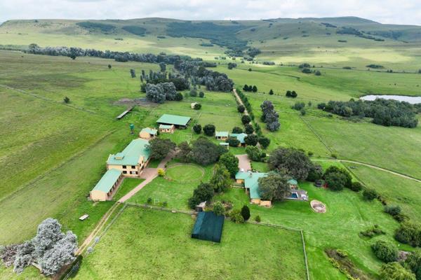 Exclusive Property in Mpumalanga Mountains 

Boutique hotel and private golf course nestled within a productive cattle ...