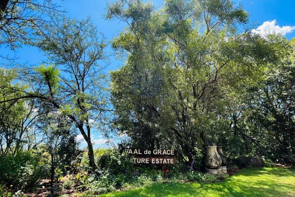 Vaal de Grace Nature Reserve provides peaceful and exclusive Island Living with roaming impala, diverse bird species, high security and ...