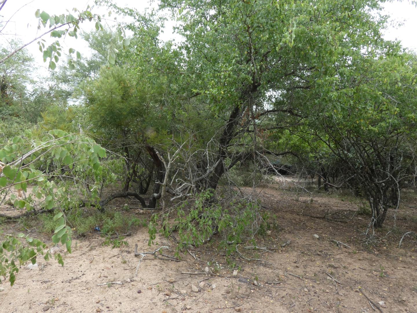 Vacant land / plot for sale in Marloth Park - P24-113975906