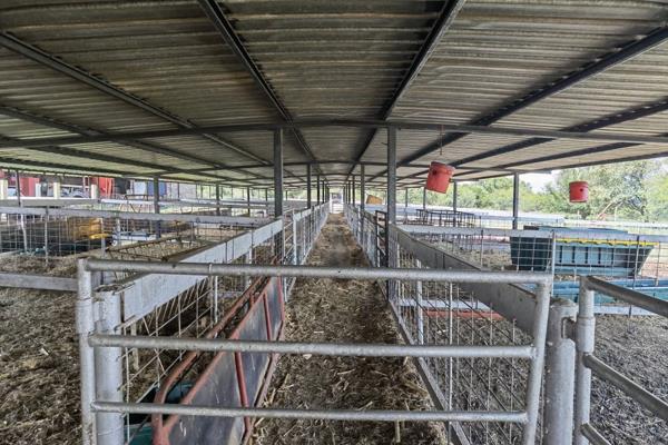 22ha Skaapvoerkraal met 12ha weiding reeds onder besproeiing.
Hierdie hoewe is ingerig om op grootskaal met skape te kan boer.
Teen die ...