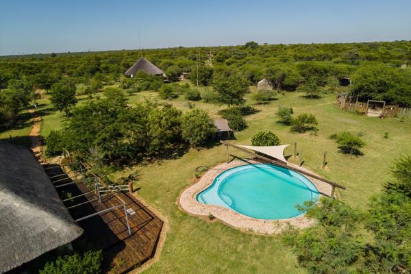 Bush Lodge in Dinokeng.
21ha bush lodge inside the Big 5 area of the DGR. Well known ...