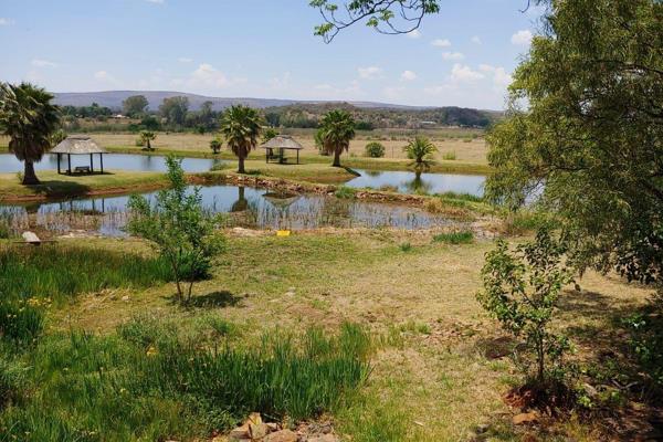 This 12ha  water rich farm features two houses, one  three bedroom stone house with lounge dining room and large kitchen. And one farm ...