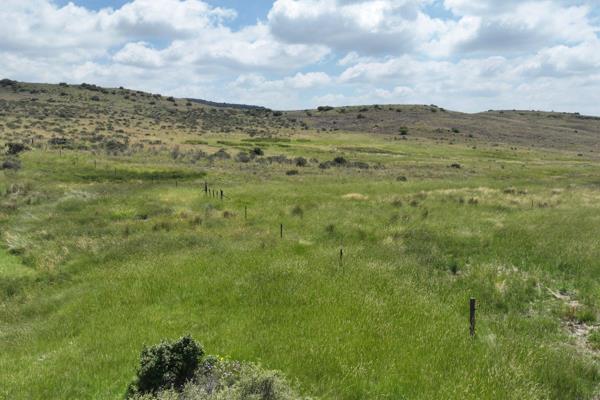 Grazing Farm For Sale!

Contact us for more information!