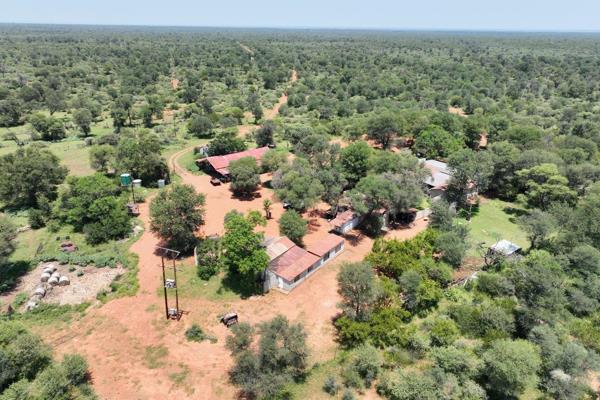 Game Cattle Farm - For Sale

The stunning farm is truly a dream purchase, as it not only boasts picturesque beauty but also serves as ...