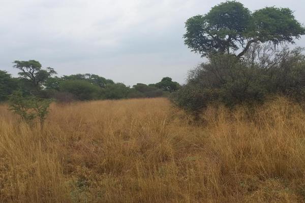 This Property is the perfect clean slate to start building your dream home on.

Situated in the Kalahari Golf Estate, spoiled by the ...