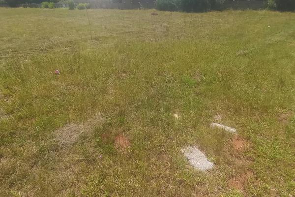 This vacant stand is located in the tranquil area of Kookrus.
Close to all amenities.
On the main route.
Dolomite testing in ...