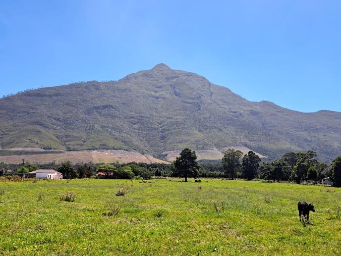 Farm for Sale in Tsitsikamma