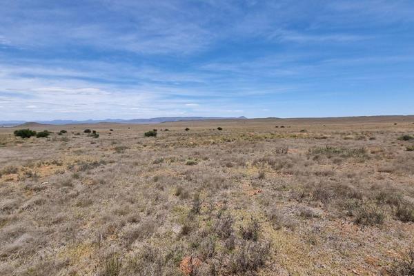 Leeukuil is a beautiful 977,4812 hectare Karoo farm situated 60 km North of Cradock next to the Grass ridge Dam.

This property has ...