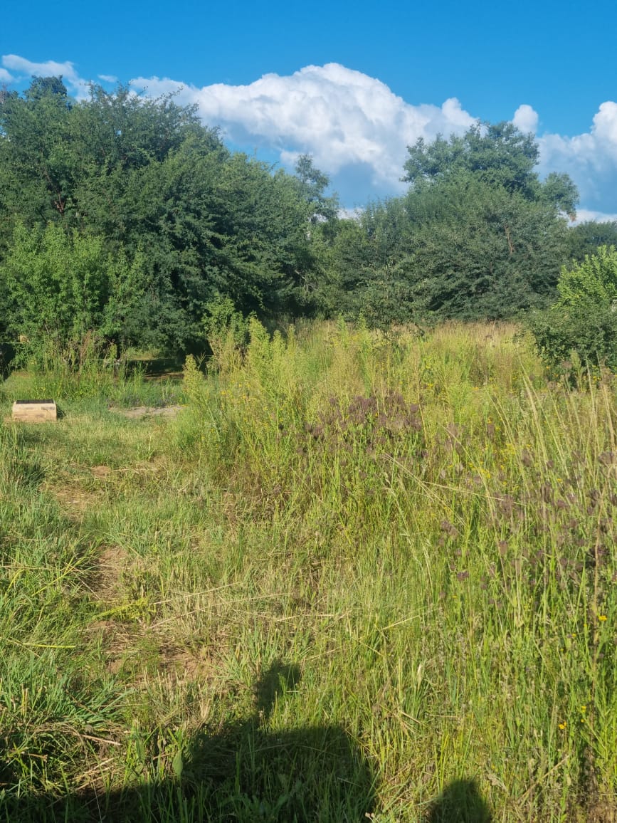 Vacant land / plot for sale in Vaal de Grace Golf Estate P24114009112