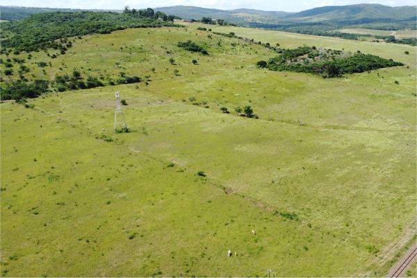 This Farm is situated about 22km from Empangeni. The Farm is 465 ha, 172 arable land and has no cane supply agreement. It has 4 earthly ...