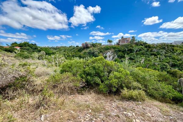 Large vacant stand ideally situated and overlooking Noorsekloof.

Beautiful scenic views and located on a quiet street, this stand is ...