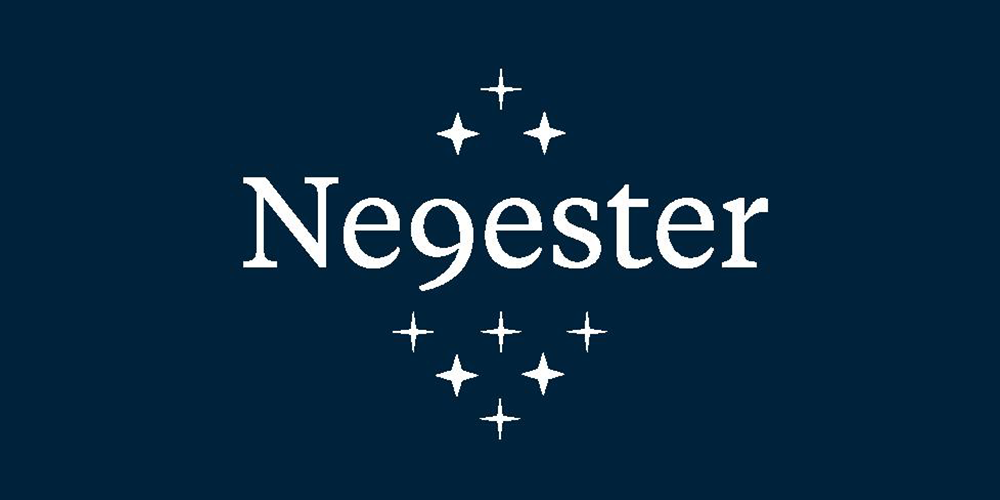 Estate Agency profile for Negester Properties