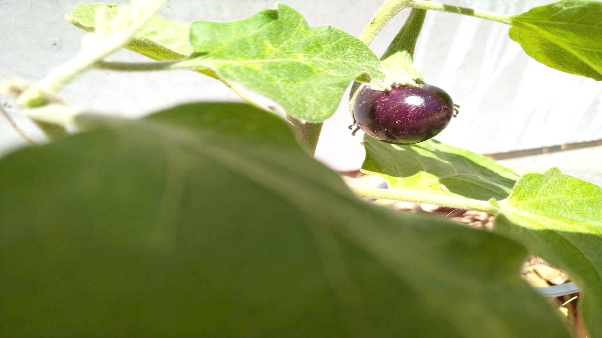 Camelot, Kuils River Property Property and houses for sale in Camelot, Kuils River