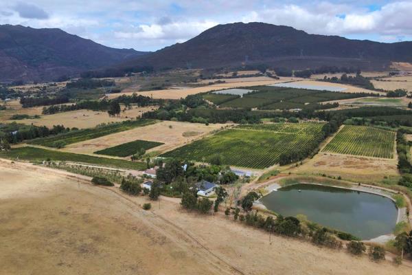 I&#39;m thrilled to introduce you to an extraordinary opportunity: the chance to own a captivating wine farm nestled amidst the scenic ...