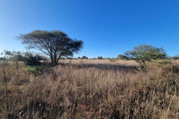 Situated just outside Polokwane close to the R101 this 8.5 hectares vacant land offers peace and tranquility for anyone to build their ...