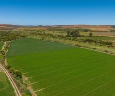 Farm for sale in Herbertsdale