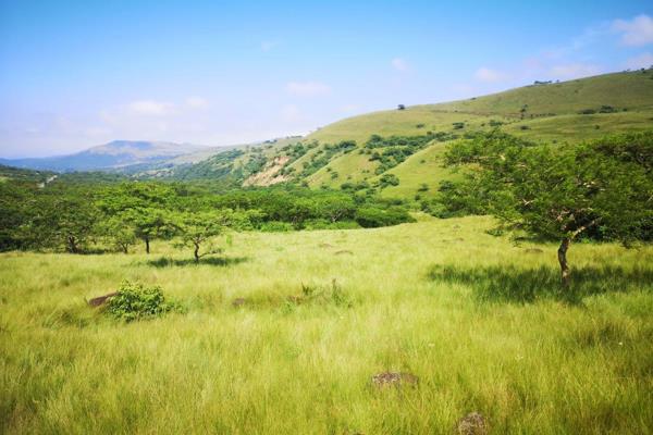 190 hectares of vacant farm land situated close to Richmond. No infrastructure on the land. The Ndala river forms the one ...