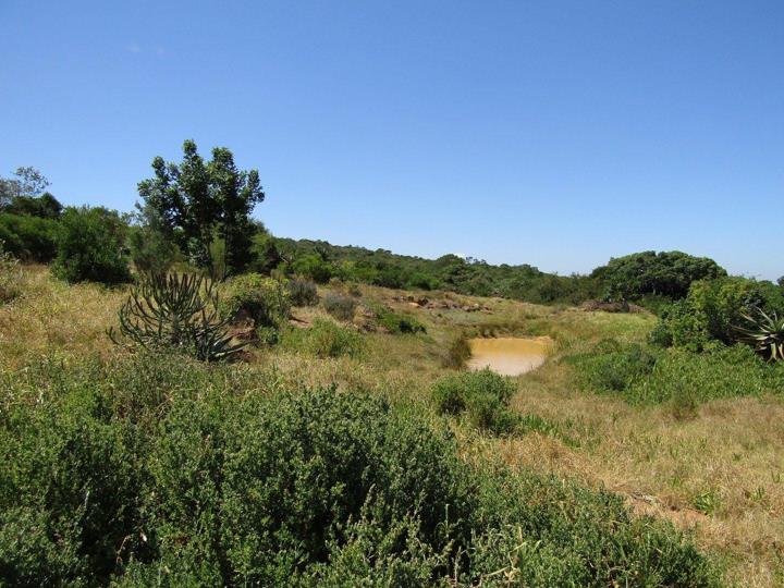 Vacant land / plot for sale in Humansdorp Rural - P24-113719731