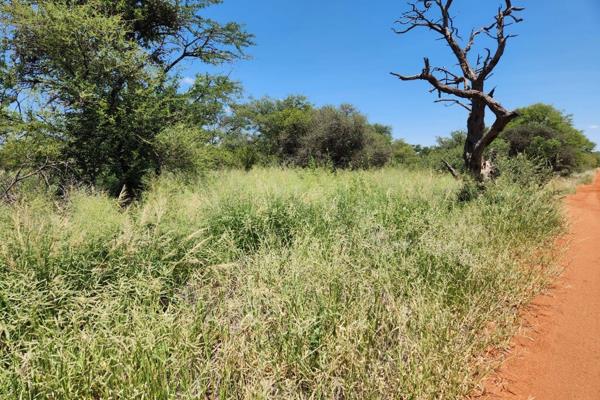 This well maintained 256 ha farm is located approximately 90 km from Dwaalboom and 100 km from Thabazimbi.  The asking price includes ...