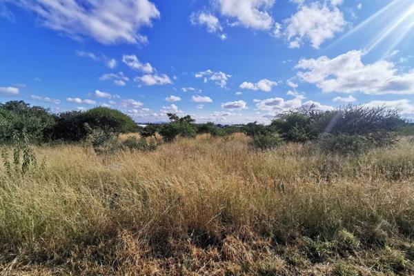 An exceptional opportunity in the new development of Polokwane Ext 138 in the Bendor area. This expansive property spans an impressive ...