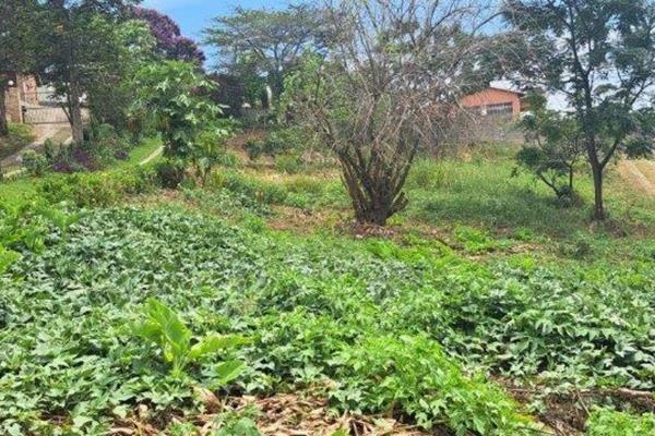 Build your dream home on this awesome stand.  Size1062m2
Zoned as: Residential.
This is a great flattish piece of vacant land situated ...