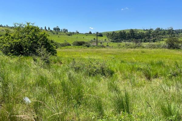 Prime Agricultural Land Available for Lease in Hammarsdale

Embrace unparalleled opportunities for agricultural growth with this ...