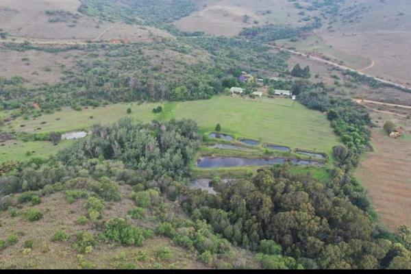 This 696 ha Farm is next to the R533 towards Pilgrims Rest

It is situated +-38km from Lydenburg Town

There are +- 56 ha that can ...