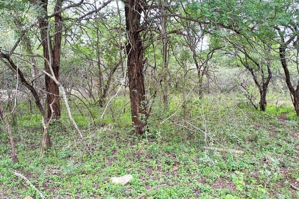 Welcome to this haven of tranquility in the bush! This 1674 square meter stand is a rare gem situated within the prestigious wild life  ...