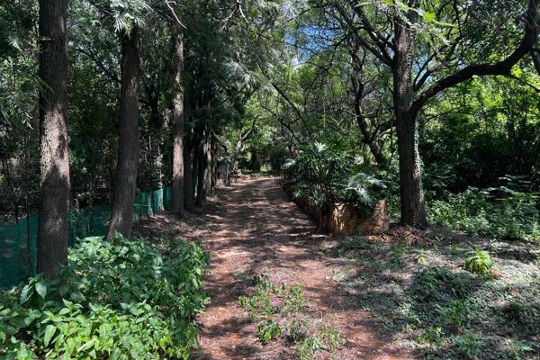 This quirky property is situated against the mountain close to Van der Hoff road in the west of Pretoria in remote area with well kept ...