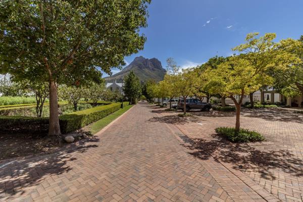 *Harcourts Winelands Non-Distressed Auction Platform - serious seller willing to listen ...