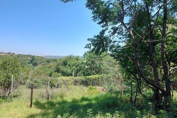 Set against the backdrop of the serene bushveld, this expansive 11.69-hectare farm presents an unparalleled opportunity for those ...