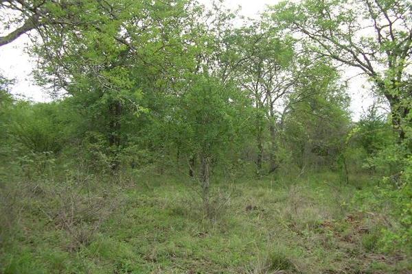 Three stands bordering each other and adjacent to parklands