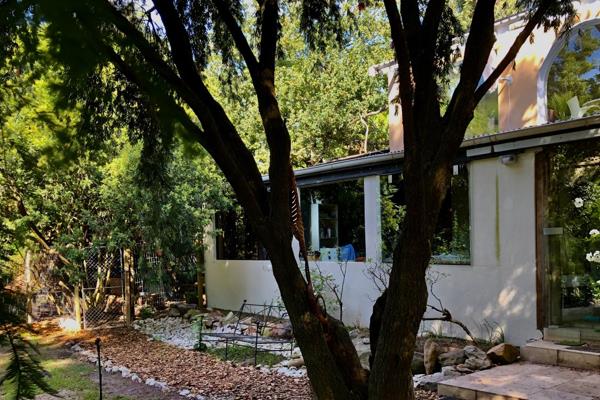 A TRANQUIL SANCTUARY 
in the best position in KLIPKOP
offers:

Bachelors STUDIO ...